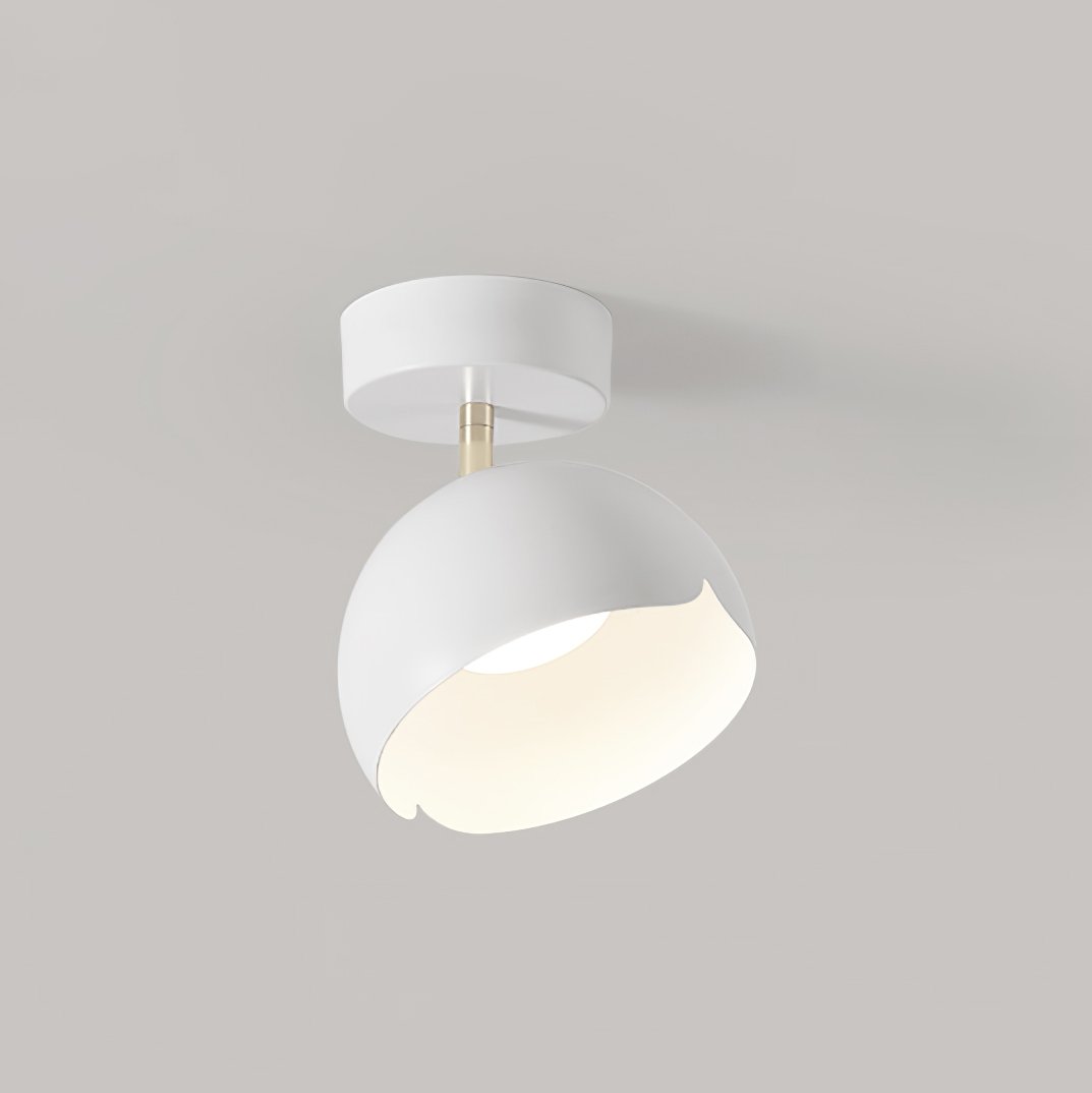 Carins Ceiling Light