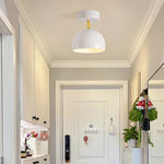 Carins Ceiling Light
