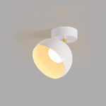 Carins Ceiling Light