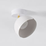 Carins Ceiling Light