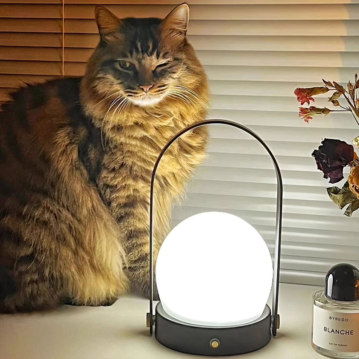 Carrie Built In Battery Table Lamp