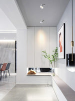Cylinder recessed LED downlight