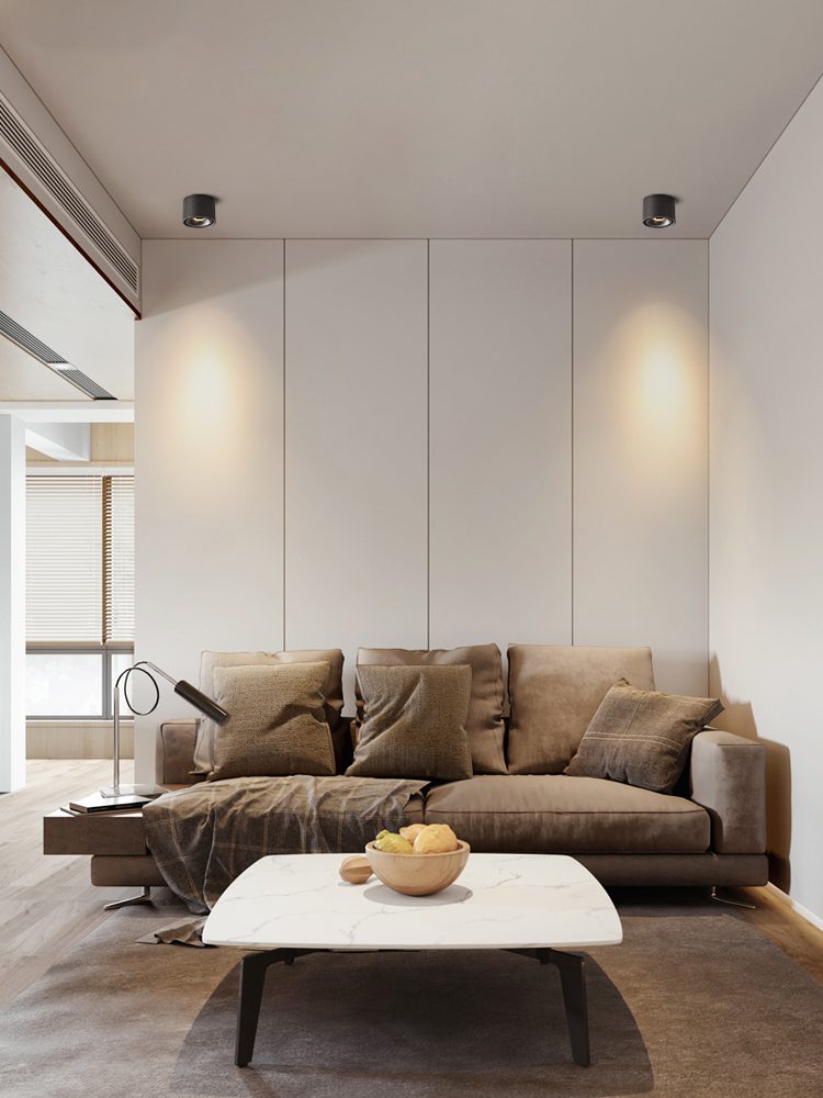 Cylinder recessed LED downlight