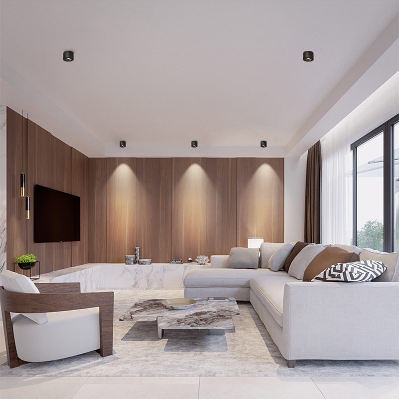 Cylinder recessed LED downlight