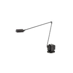 daphine-table-lamp