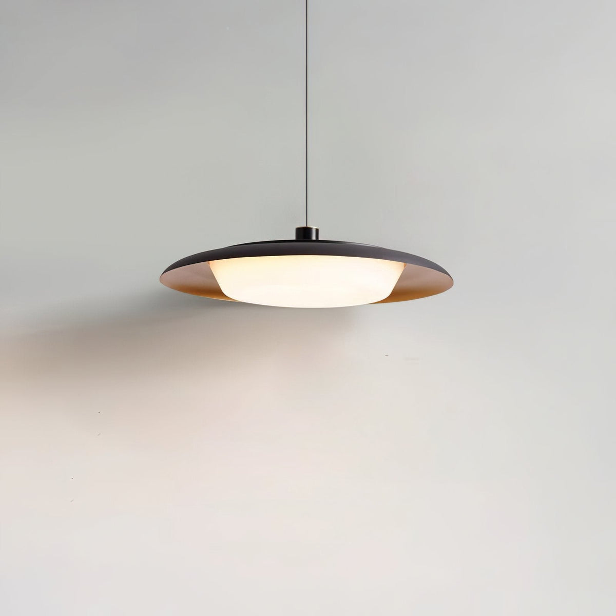 Donut Pendant Light