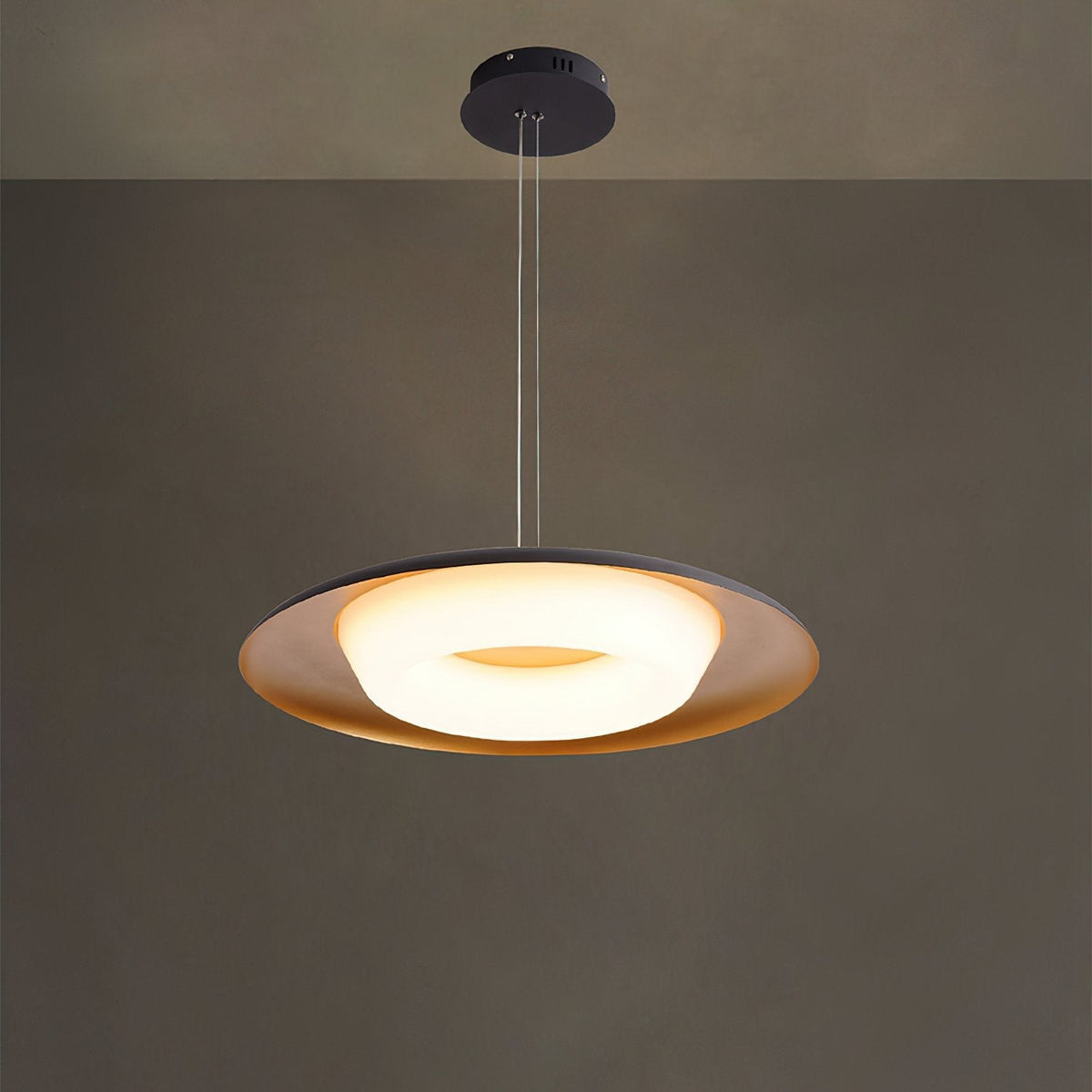 Donut Pendant Light