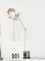 daphine-table-lamp