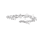 Feather Glass Pendant Light Amber Clear Color Flying Pendant Lamp Staircase Designer
