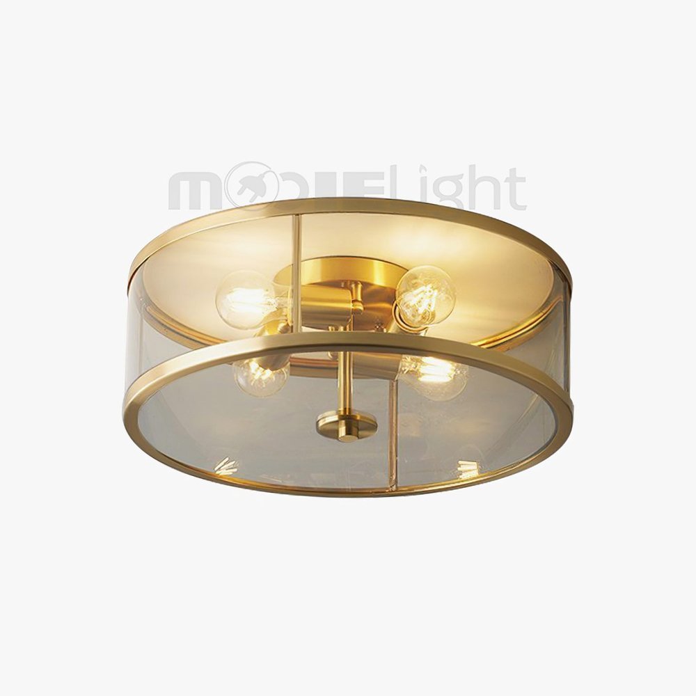 Franklin Ceiling Light