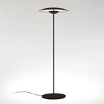directional-floor-lamp