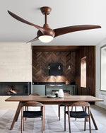 Indoor Ceiling Fan Light