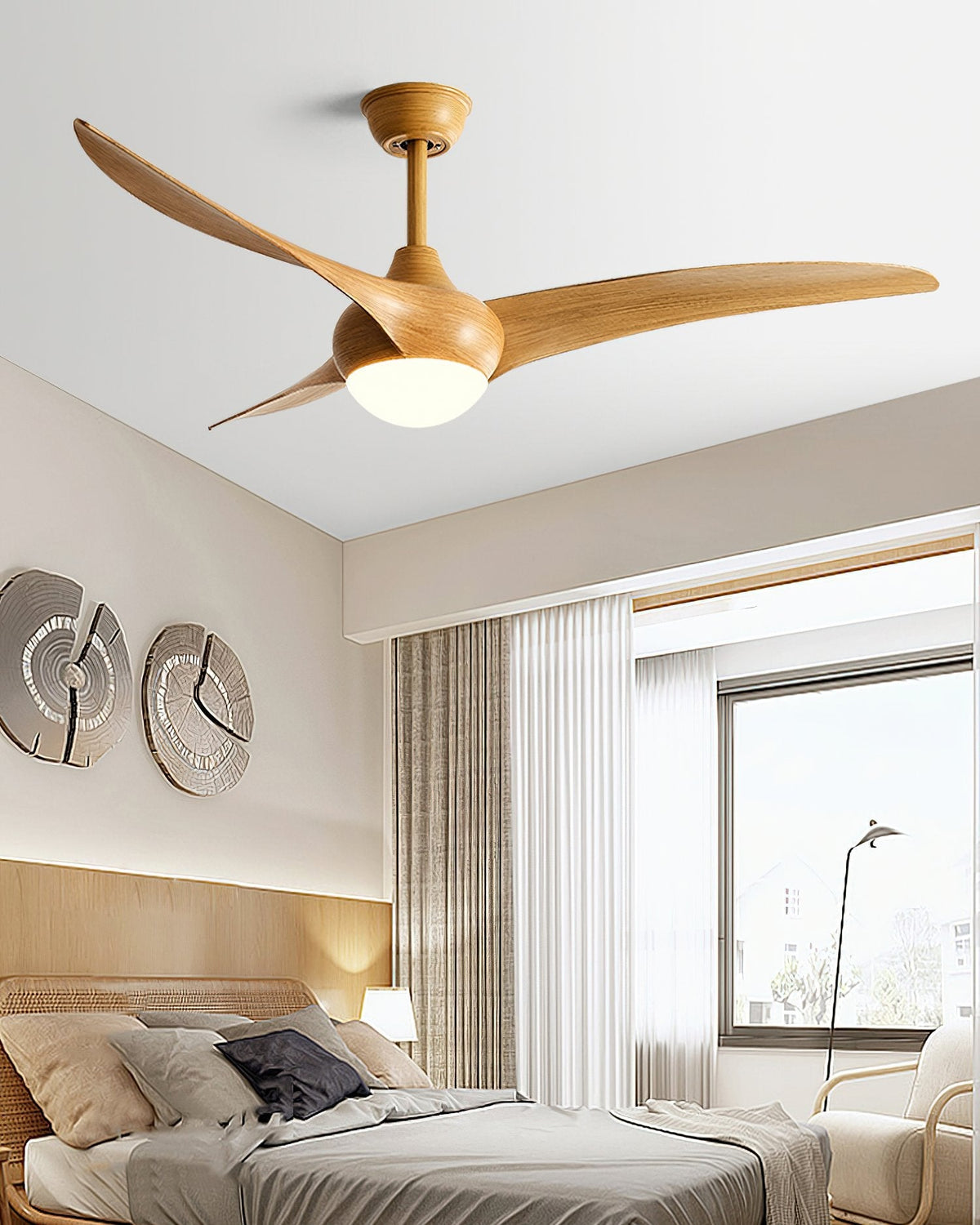 Indoor Ceiling Fan Light