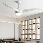 Indoor Ceiling Fan Light