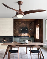 Indoor Ceiling Fan Light