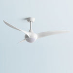 Indoor Ceiling Fan Light