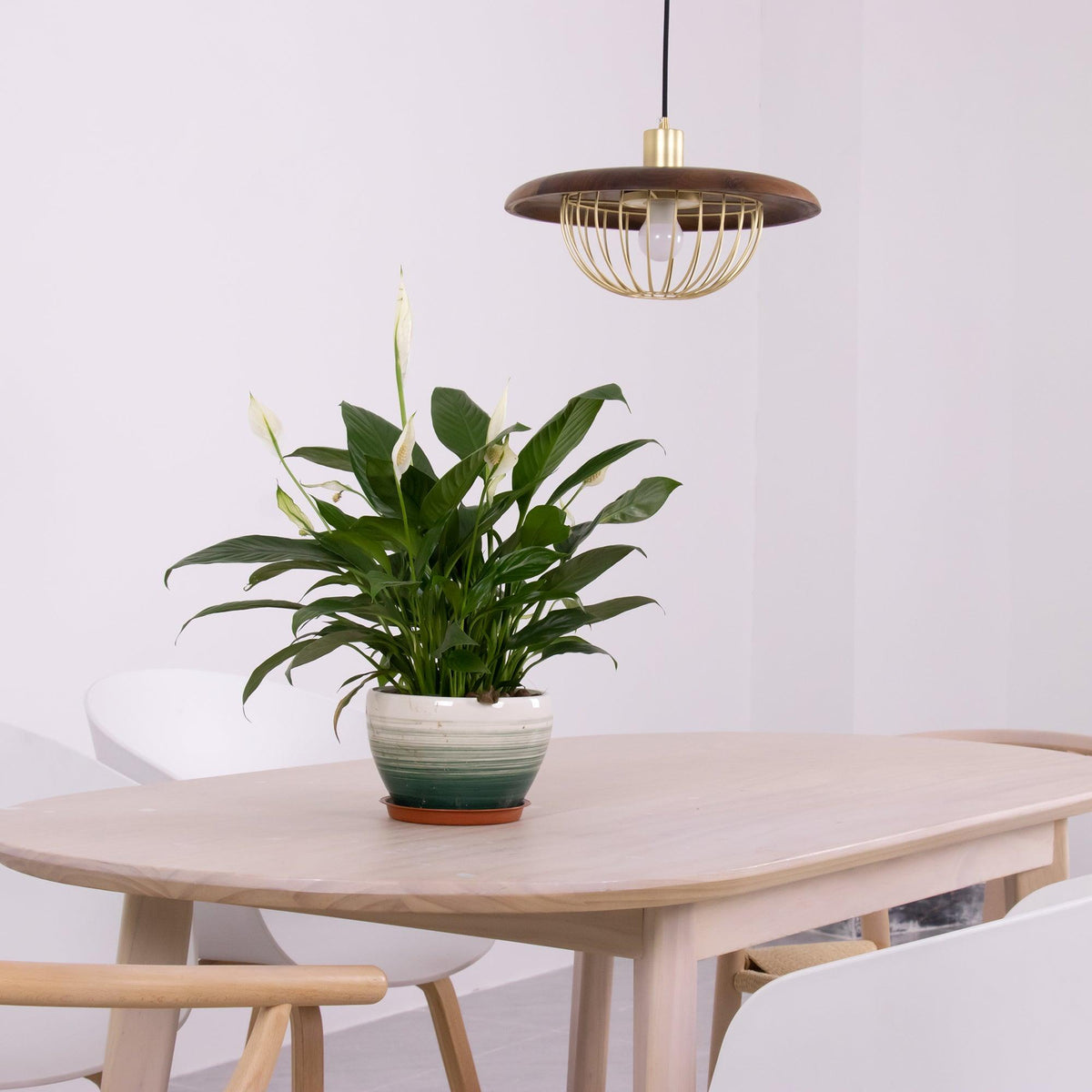 Wooden Lamp Pendant Light