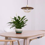 Wooden Lamp Pendant Light