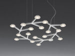 Led Net Ceiling Wall Lamp