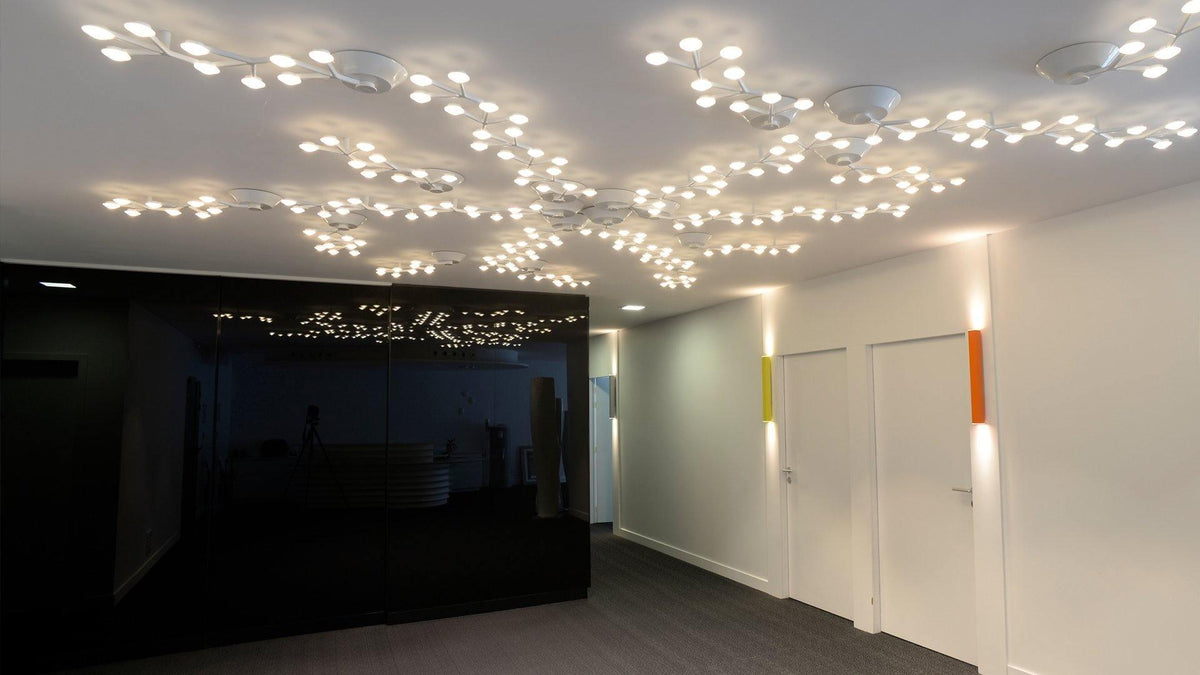Led Net Ceiling Wall Lamp