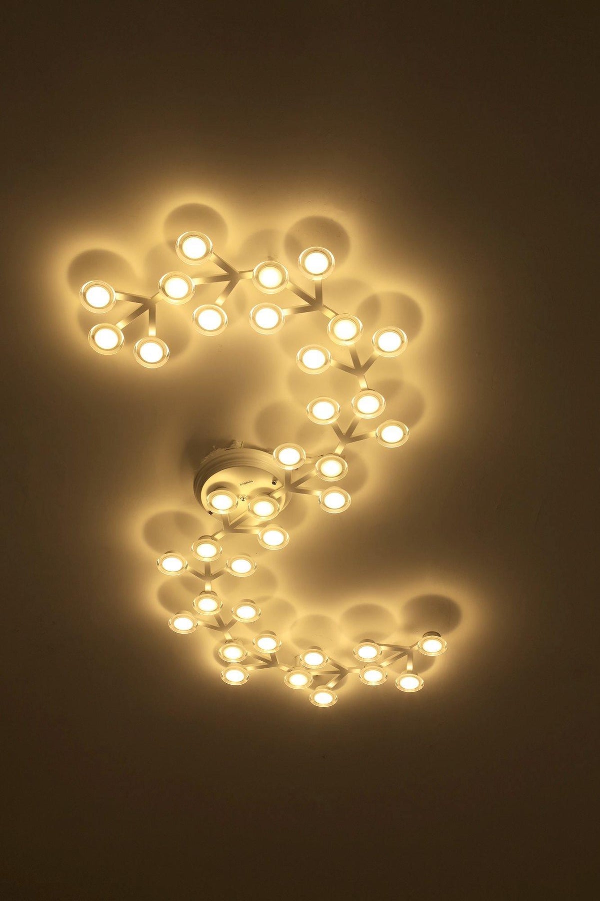 Led Net Ceiling Wall Lamp