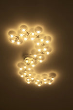 Led Net Ceiling Wall Lamp