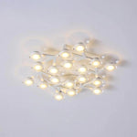 Led Net Ceiling Wall Lamp