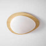 Lola Pebble Ceiling Lamp