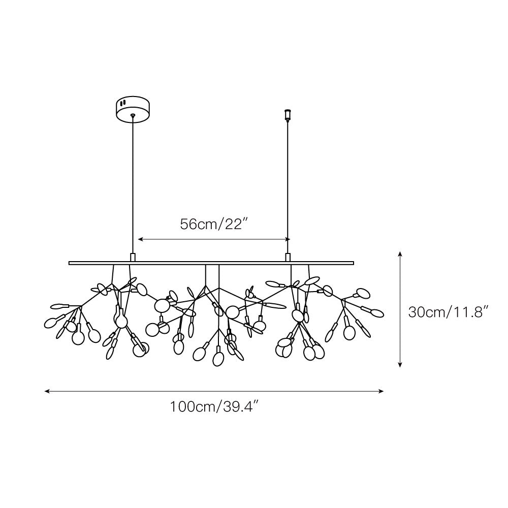 heracleum-chandelier