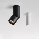 Long tube ring rotating downlight