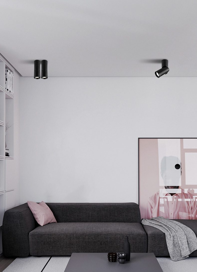 Long tube ring rotating downlight