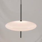 Model 2065 Pendant Lamp