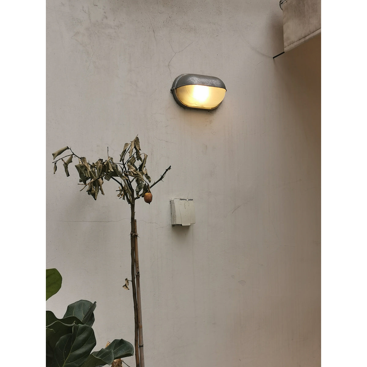 nauticus-outdoor-wall-lamp