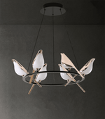 Nomi Chandelier