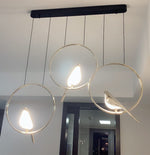 Nomi Pendant lamp