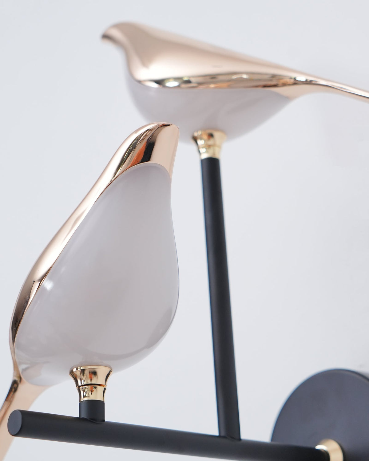 Nomi Wall Lamp