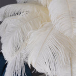 Ostrich Feather Floor Lamp
