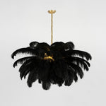 Ostrich Feather Pendant Lamp