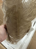 ostrich-feather-floor-light
