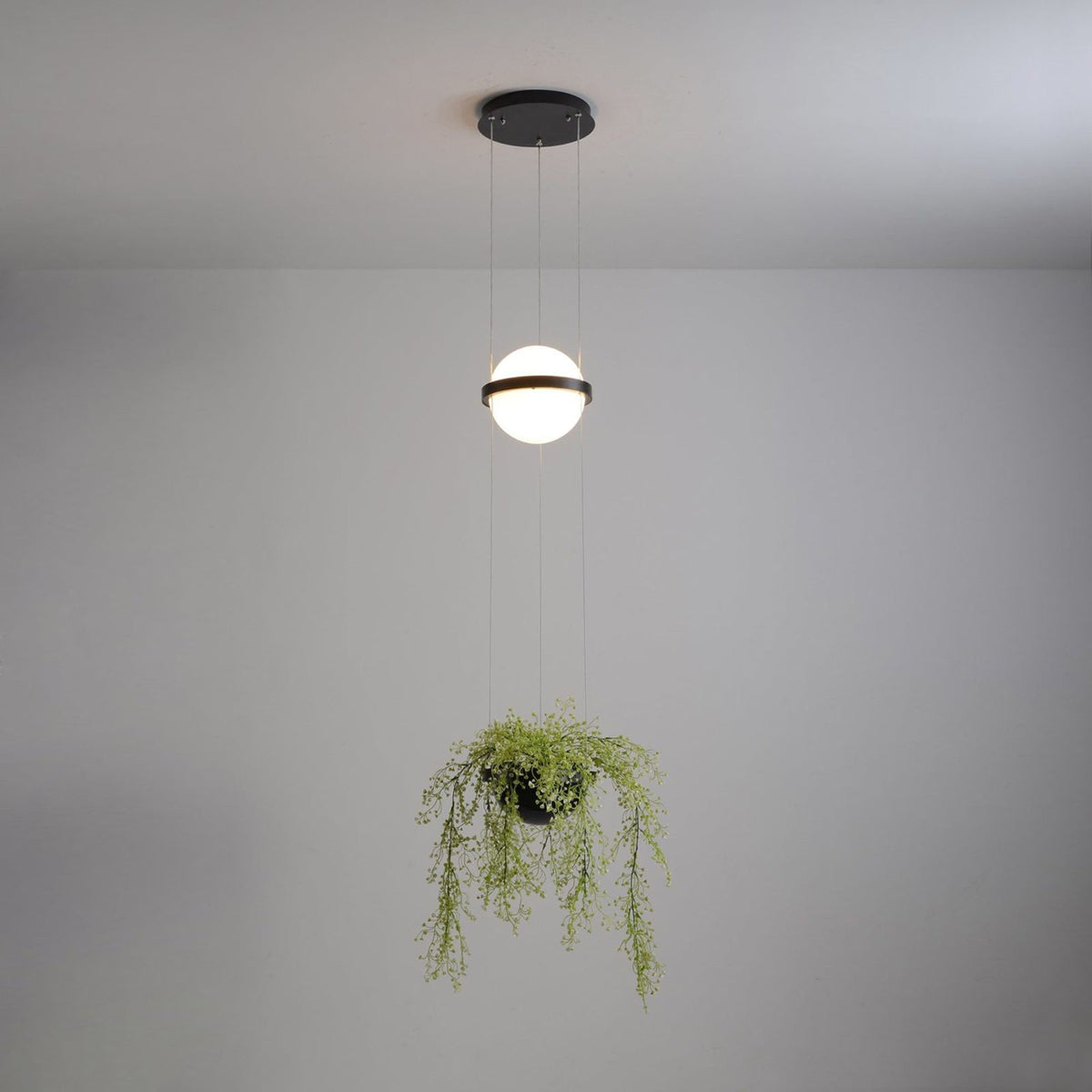 palma-pendant-lamp