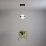 palma-pendant-lamp