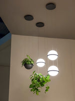 palma-pendant-lamp
