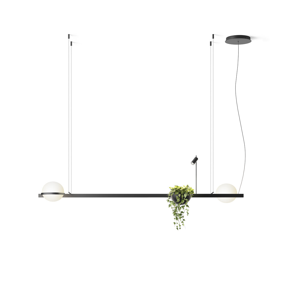 palma-pendant-lamp