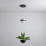 palma-pendant-lamp
