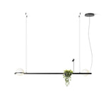 palma-pendant-lamp