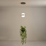 palma-pendant-lamp