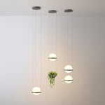 palma-pendant-lamp
