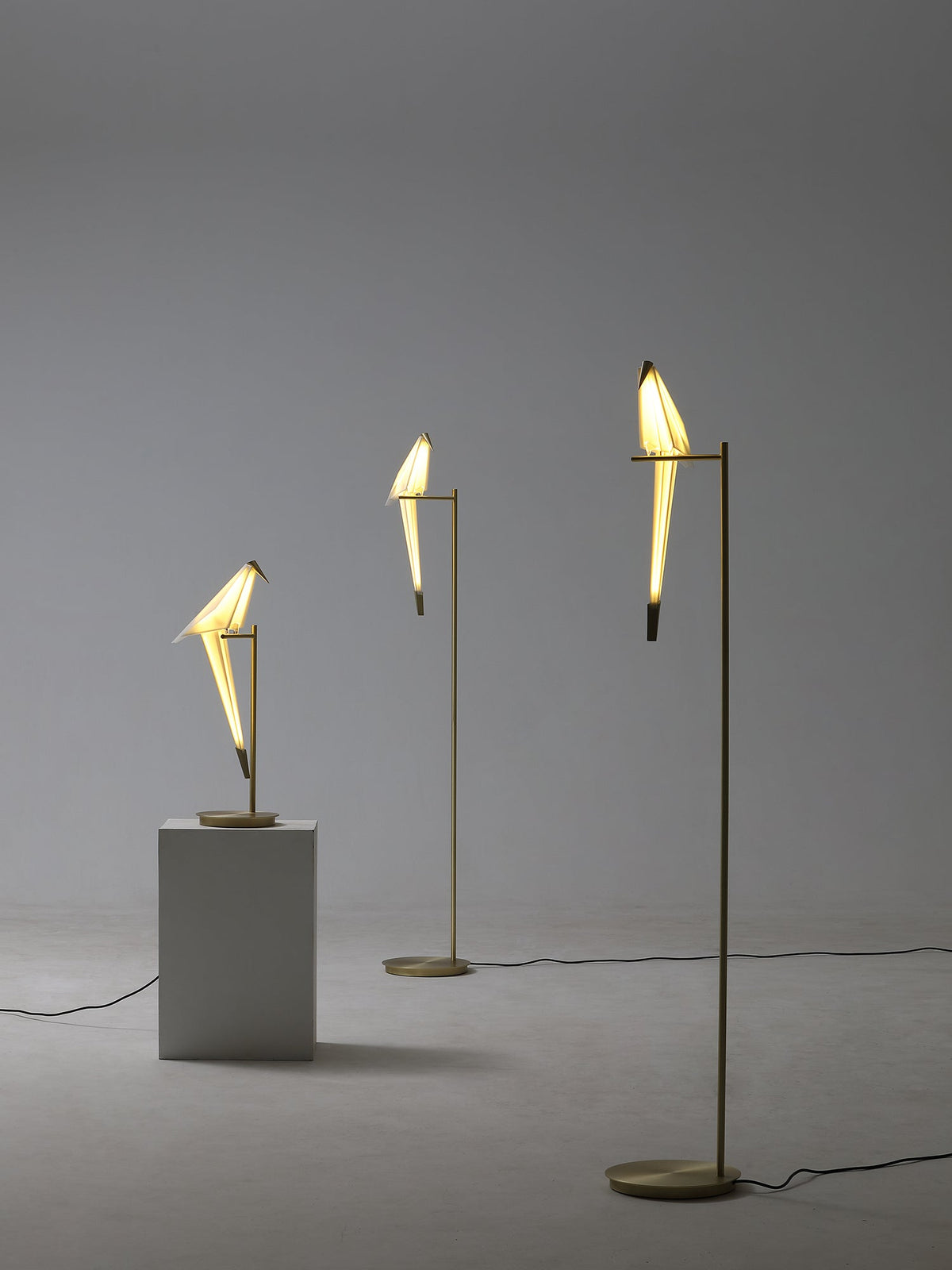 Perch Light Table Lamp