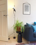 parentesi-pendant-light