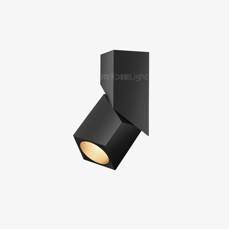 Rectangular Revolving Downlight